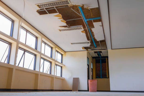 Best Mold removal after water damage  in Salida, CO