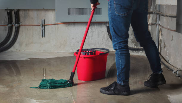 Best Water damage cleanup near me  in Salida, CO