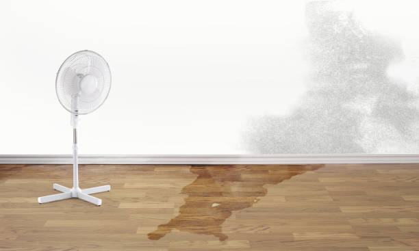 Best Water damage restoration services  in Salida, CO