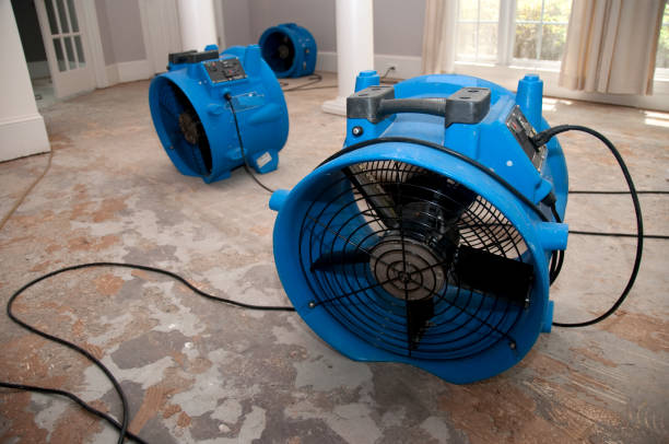 Best Local water damage restoration  in Salida, CO