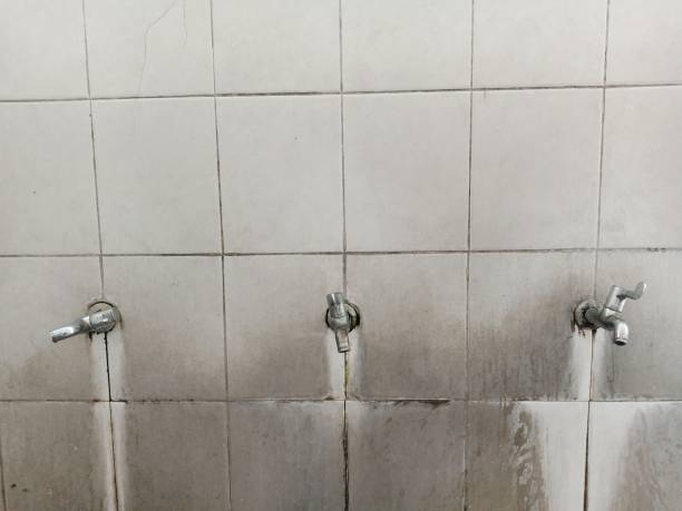 Best Basement water damage restoration  in Salida, CO