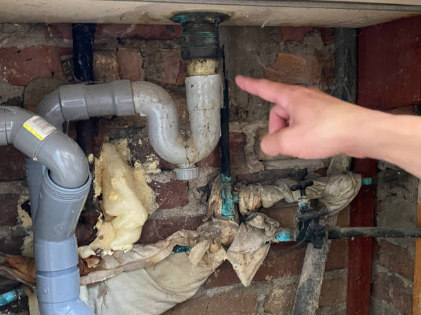 Best 24/7 water damage repair  in Salida, CO