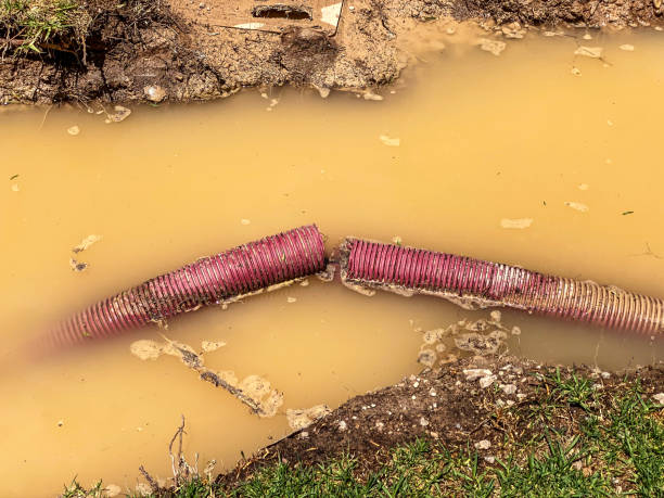Best Emergency water damage restoration  in Salida, CO